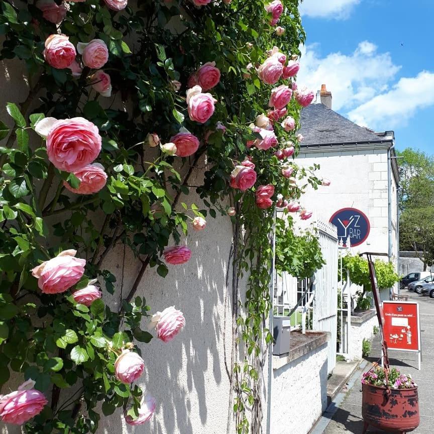 Logis Hotel Restaurant Relais De La Mothe Yzeures-sur-Creuse Ngoại thất bức ảnh